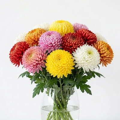 10. Chrysanthemums